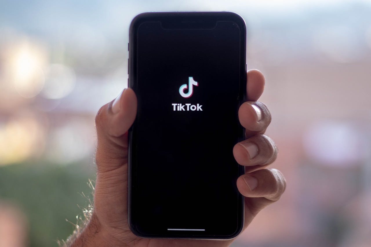 TikTok Aims and Strategy